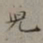 裴景福儿书法图片
