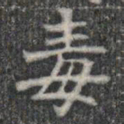 毒书法图片