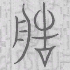 说文解字造书法图片