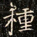 魏碑种书法图片