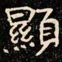 魏碑显书法图片