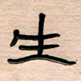 张林华生书法图片