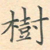 潘永锋树书法图片