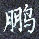 尹慧勤鹏书法图片