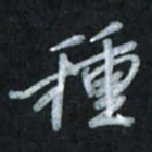 唐玉庆种书法图片