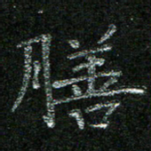 陈悦敏膳书法图片