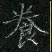 陈悦敏养书法图片