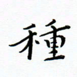曹云松种书法图片