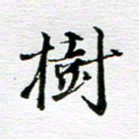 孙巍树书法图片