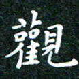 邓小江观书法图片