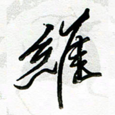 张毅君维书法图片