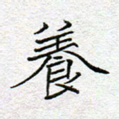 李小雨养书法图片