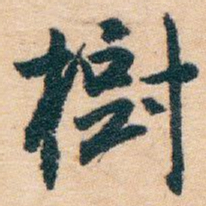 白蕉樹书法图片