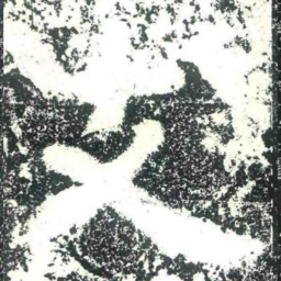 支书法图片