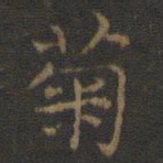 菊书法图片