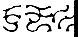 鸟虫篆形书法图片