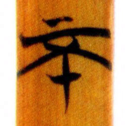 清华简不书法图片
