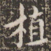 褚遂良植书法图片