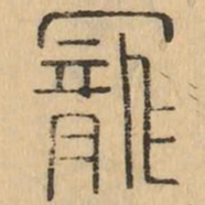 寵书法图片