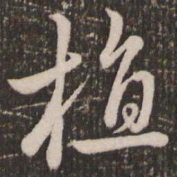赵孟頫植书法图片