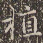 赵孟頫植书法图片