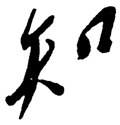 毛泽东知书法图片