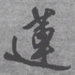 王铎莲书法图片