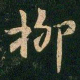 柳书法图片