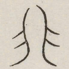 非书法图片