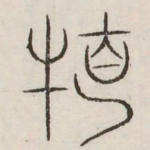 特书法图片