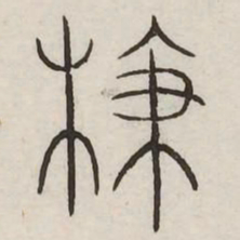 枝书法图片