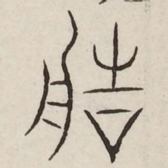 造书法图片