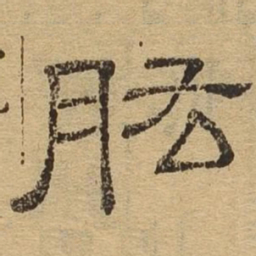 肱书法图片