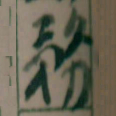 王蘧常務书法图片