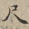 尺书法图片