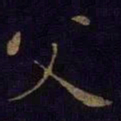 曹之格父书法图片
