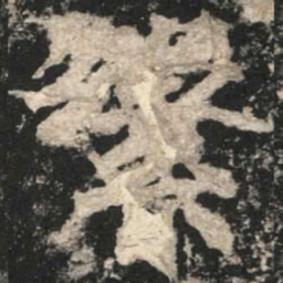 魏碑繁书法图片