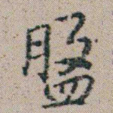 朱耷盤书法图片
