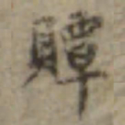 长尾甲贉书法图片