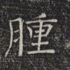 司马光肿书法图片