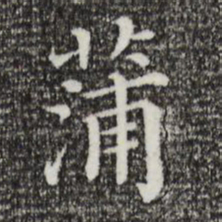 蒲书法图片