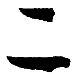 孙过庭二书法图片