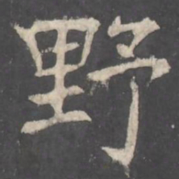 褚遂良野书法图片