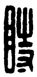 篆刻时书法图片