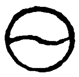 篆刻日书法图片