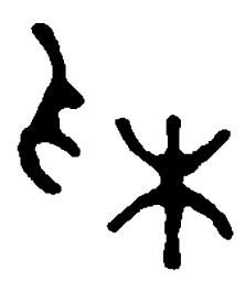 篆刻采书法图片