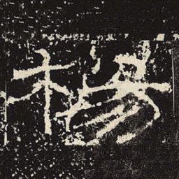 杨书法图片