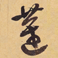 徐渭蓮书法图片