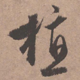 文征明植书法图片
