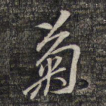 黎遂球菊书法图片